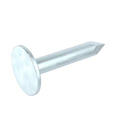 Grip-Rite 3/4 in. Roofing Electro-Galvanized Steel Nail Flat Head 1 lb
