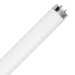 Feit Legacy Bulbs 40 W T12 1.4 in. D X 47.9 in. L Fluorescent Bulb Cool White Linear 4100 K 10 pk