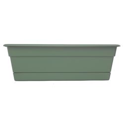 Bloem Dura Cotta 5.75 in. H X 24 in. W X 7.5 in. D Plastic Window Box Basil