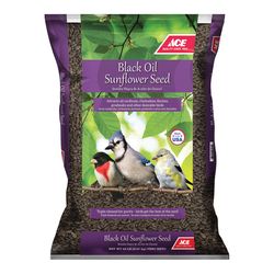 Ace Black Oil Sunflower Seed Wild Bird Food 20 lb