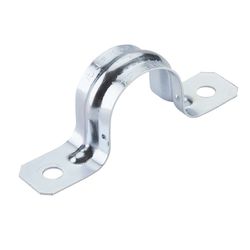 Halex 3/4 in. D Steel 2 Hole Strap 10 pk