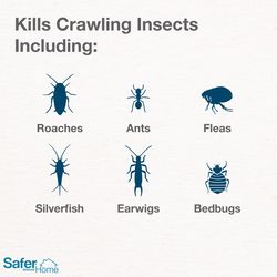 Safer Brand Insect Killer 7 oz