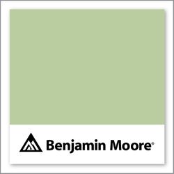 Benjamin Moore Corn Stalk 542