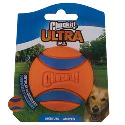 Chuckit! Ball Dog Toy
