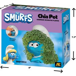 Chia Pet Smurfette Decorative Planter Clay 1 pk