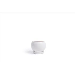 Momma Pots Gemstone Bolle 6 in. W Porcelain Planter White