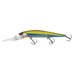 Lunkerhunt Fishing Lure 4.3 in.