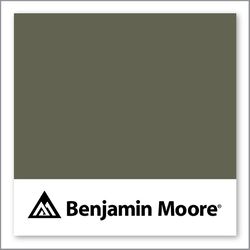 Benjamin Moore Forest Floor 1498
