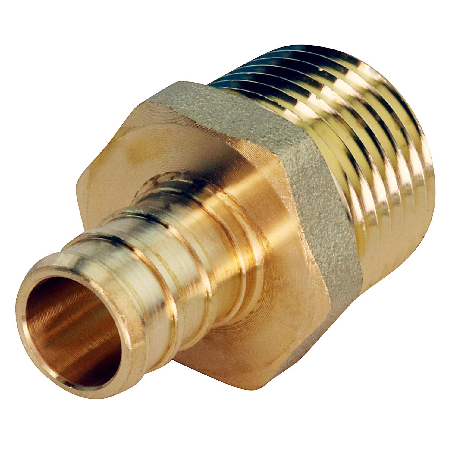 image-4