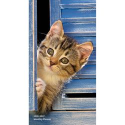 BrownTrout Publishers 2026 Pocket Planner .1 in. H X 7 in. L Multicolored Paper Kitten Cuddles Calen