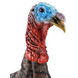 Primos Multicolored Foam Jake Turkey Decoy 19.50 in.