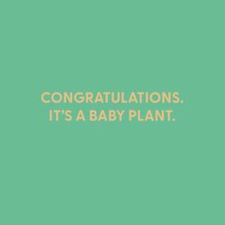 Chive Congratulations. It's a Baby Plant. Blank Greeting Card