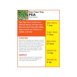 Lake Valley Seed Vegetable Seeds