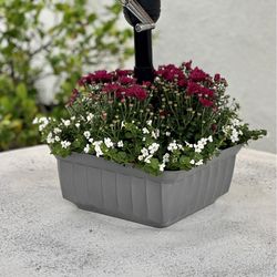 Savannah Planter 5.5 in. H X 13 in. W X 13 in. D Plastic Umbrella Planter Gray