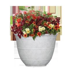 L&G Solutions 9 in. H X 12 in. W X 12 in. D X 12 in. D Polyresin Brighton Planter White