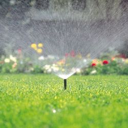 Toro 570 Series X-Flow 6 in. H Adjustable Pop-Up Spray Head W/Flush Plug