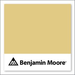 Benjamin Moore Yosemite Yellow 215