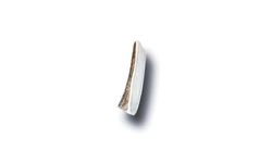 Bucky Bites Medium/Large Adult Antler Antler 4 in. L 1 pk