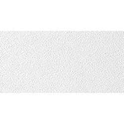 USG Ceilings Sheetrock 4 ft. L X 2 ft. W 0.5 in. Square Edge Ceiling Panel 1 pk