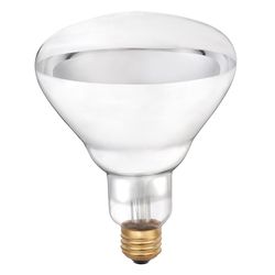 Westinghouse 250 W R40 Heat Lamp Incandescent Light Bulb Medium Base Clear 2 pk
