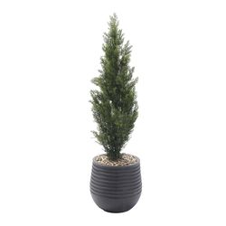 DW Silks 48 in. H X 14 in. L Polyester Cedar Topiary in Black Planter