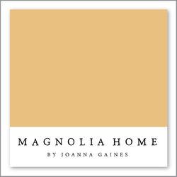 Magnolia Home by Joanna Gaines Amber MAG049
