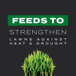 Scotts Turf Builder Southern Triple Action Weed & Feed Lawn Fertilizer For All Grasses 8000 sq ft