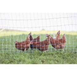 Starkline 42 in. H X 164 ft. L Metal/Polyethylene Electric Netting Blue