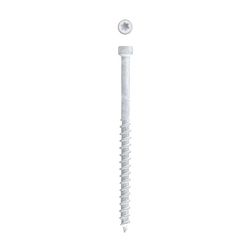 SPAX PowerTrim No. 8 Label X 2-1/2 in. L Star Trim Head Trim Screws 0.8 lb 100 pk