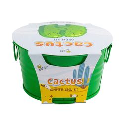 Buzzy Kids Painted Cactus Mini Basin Seed Grow Kit 1 pk