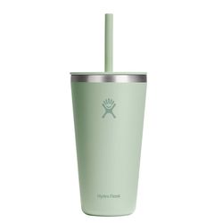 Hydroflask 28 fl. oz. Aloe BPA Free Insulated Bottle