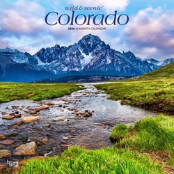 BrownTrout Publishers Wild & Scenic 2026 Square Flap .10 in. H X 12 in. L Multicolored Paper Colorad