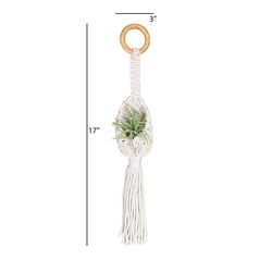 Meesh Drops Natural Macrame 17 in. H Mini Pouch Plant Hanger 1 pk