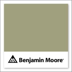 Benjamin Moore Thicket AF-405