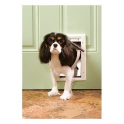 PetSafe 11 in. H X 7.5 in. W Small Plastic Pet Door