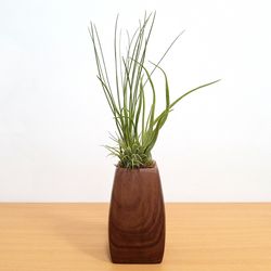 Eve's Garden 11 in. H X 3 in. W X 3 in. D Ceramic Woodgrain Elegant Air Plant and Succulent Beige/Br
