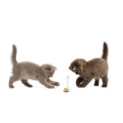 Kikkerland For Cat Brown Wood Mouse Cat Toy 1 pk