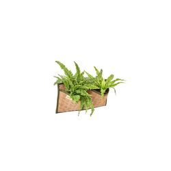 Austram 9.8 in. H X 19.6 in. W X 2 in. D Coco Fiber Wall Planter Natural