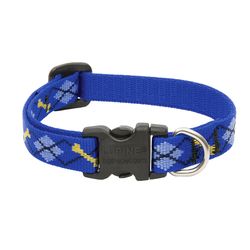 LupinePet Original Designs Multicolor Dapper Dog Nylon Dog Adjustable Collar