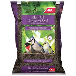 Ace Black Oil Sunflower Seed Wild Bird Food 40 lb