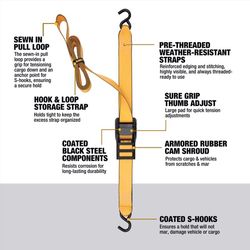 DeWalt 2.0 in. W X 10 ft. L Cam Buckle 1000 lb 2 pk