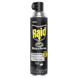 Raid Wasp and Hornet Killer Spray 17.5 oz