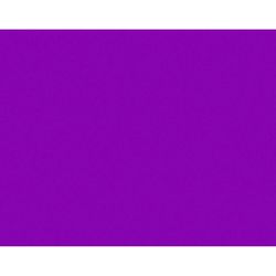 Bazic Products 22 in. W X 28 in. L Fluorescent Purple Poster Board