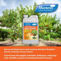 Monterey Once A Year II Insect Killer Liquid Concentrate 32 oz