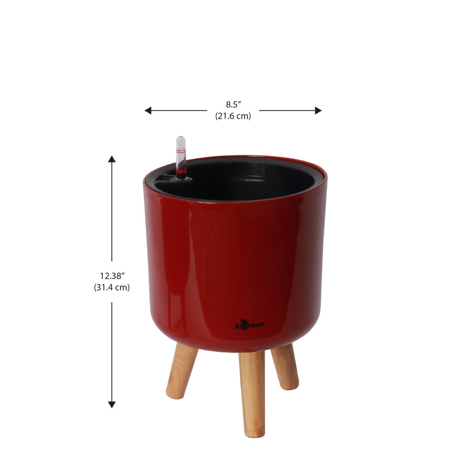 image-2