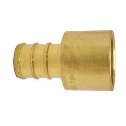 Apollo PEX 1/2 in. Expansion PEX in to X 1/2 in. D Female Sweat Brass Adapter