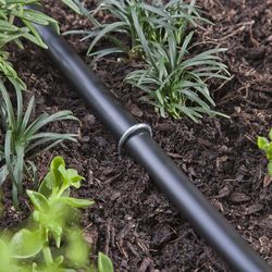 Raindrip For 1/2 in. Tubing Drip Irrigation Watering Stake 12 in. H 12 pk