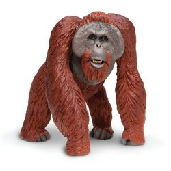 Safari Ltd. Wildlife Wonders Bornean Orangutan Toy Brown