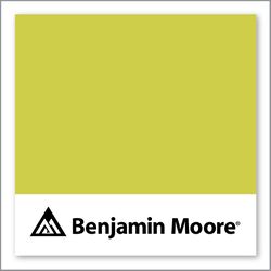Benjamin Moore Flower Power 398