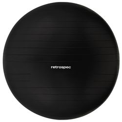 Retrospec Luna Exercise Ball with Base